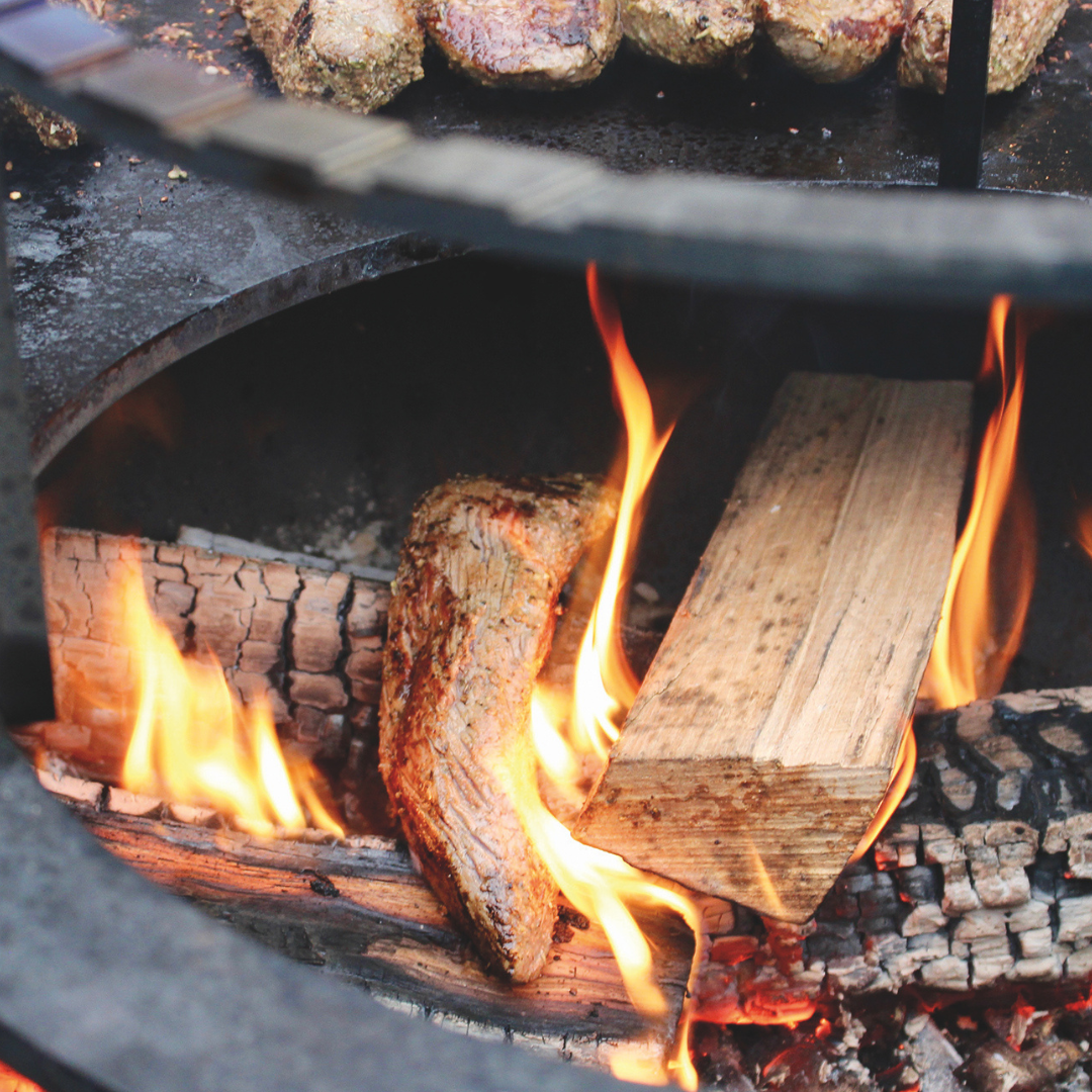 vlammen in co-fire met hout 